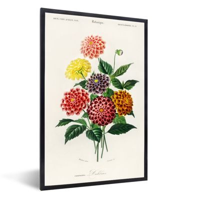 Poster - 80x120 cm - Botanik - Weinlese - Blumen