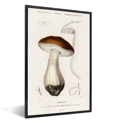 Poster - 20x30 cm - Pflanze - Jahrgang - Botanica