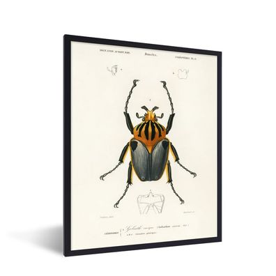 Poster - 60x80 cm - Käfer - Jahrgang - Insekten