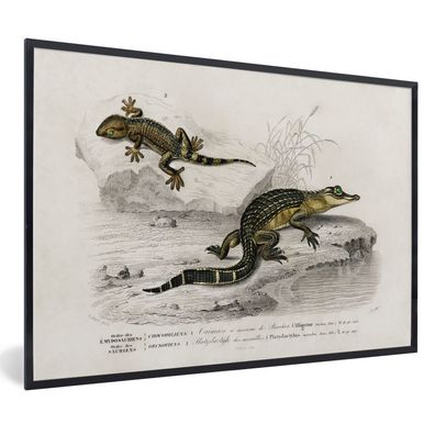 Poster - 60x40 cm - Krokodil - Jahrgang - Reptilien