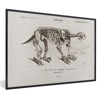 Poster - 60x40 cm - Skelett - Jahrgang - Knochen