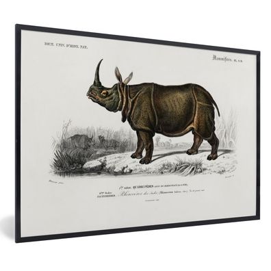 Poster - 90x60 cm - Rhinozeros - Vintage - Tier