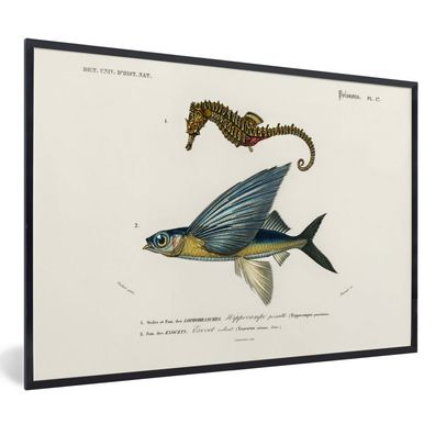 Poster - 90x60 cm - Fisch - Vintage - Farbe