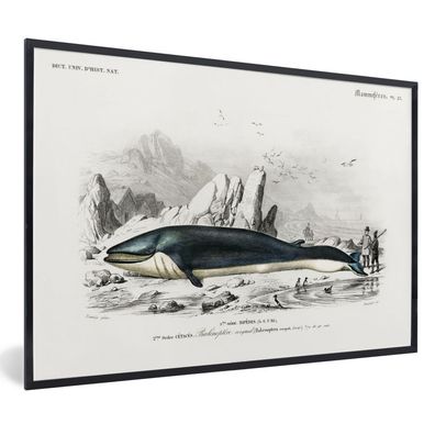 Poster - 90x60 cm - Fisch - Vintage - Stein