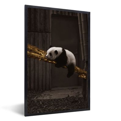 Poster - 20x30 cm - Panda - Gold - Schwarz