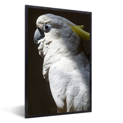 Poster - 20x30 cm - Sonnenstrahlen auf dem weißen Kakadu