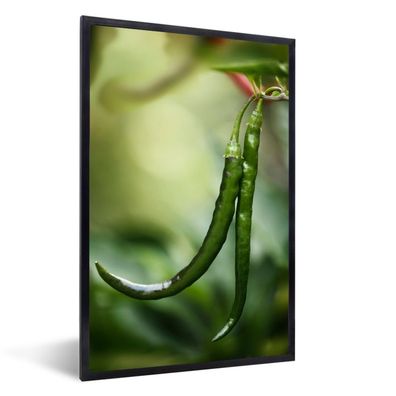 Poster - 40x60 cm - Ein Paar hängende grüne Cayenne-Paprika