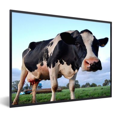 Poster - 40x30 cm - Kuh - Bauernhof - Gras - Tiere
