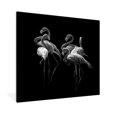 Poster - 40x40 cm - Flamingo - Schwarz und weiß