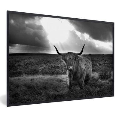Poster - 90x60 cm - Sonnenstrahlen glänzen auf schottischen Highlander - schwarz