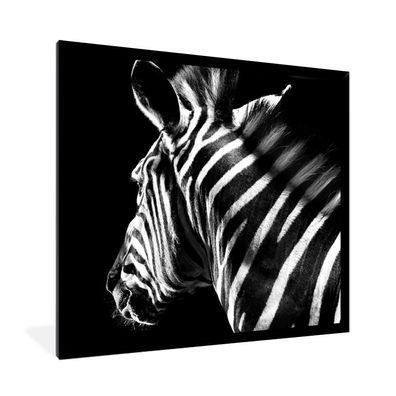Poster - 40x40 cm - Zebra - Tier - Weiß - Schwarz und weiß