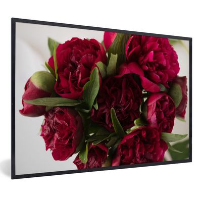 Poster - 90x60 cm - Ein Blumenstrauß aus roten Pfingstrosen mit weißem