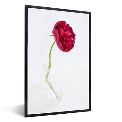 Poster - 40x60 cm - Eine rote Pfingstrose in einer Glasvase