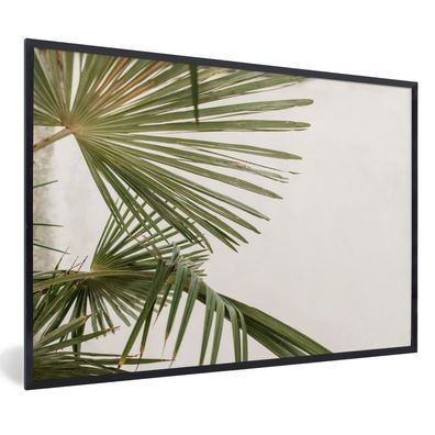 Poster - 90x60 cm - Palme - Blätter - Grün