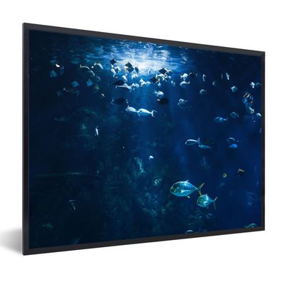 Poster - 40x30 cm - Angeln in einem Aquarium in Norwegen