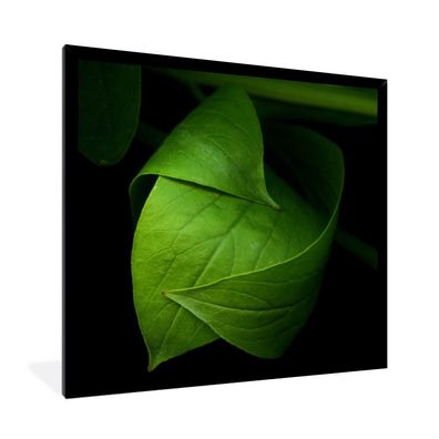 Poster - 40x40 cm - Die Details eines grünen Blattes vor einem schwarzen