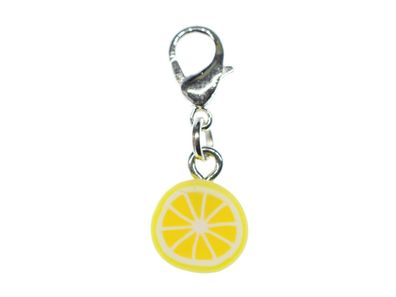 Zitrone Charm Miniblings Zipper Pull Anhänger Orange Limette Frucht Scheibe