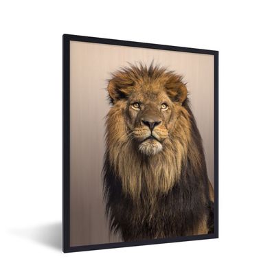 Poster - 30x40 cm - Wildlife - Porträt - Licht