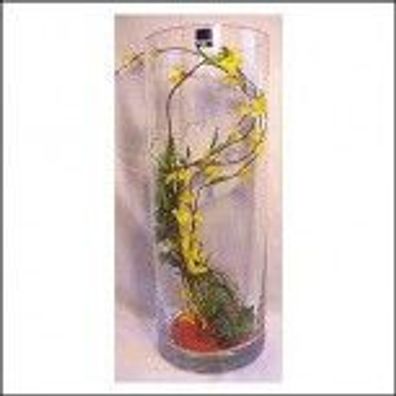 Leonardo Glas vase 40cm