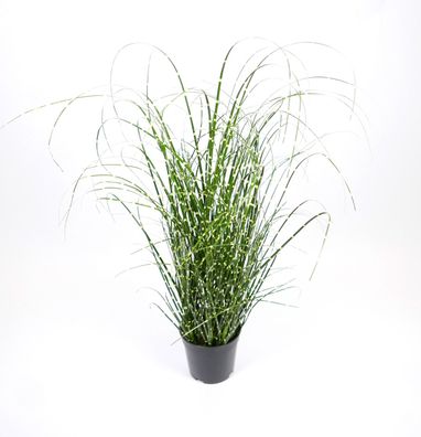 Kunstpflanze Topfpflanze Zimmerpflanze Künstlich Gras grün H 55