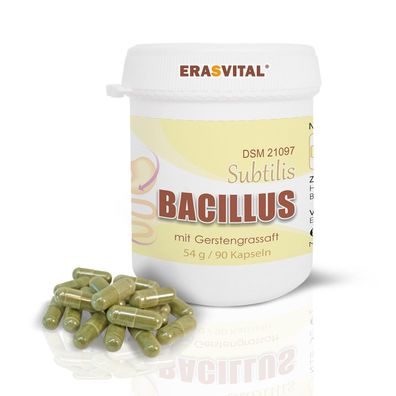Bacillus Subtilis DSM 21097 mit Gerstengrassaft glutenfrei Vegan