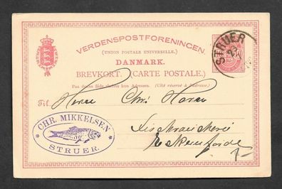 Ganzsache Dänemark Postkarte von Chr. Mikkelsen Struer 23.7.1889