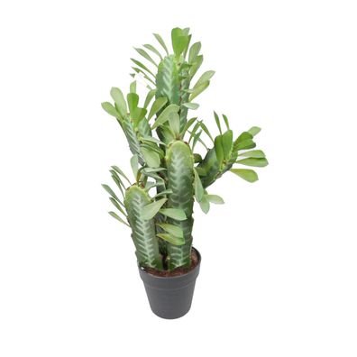 Kunstpflanze Dekopflanze Kaktus Dekokaktus im Topf Kunststoff grün H 58 - 110 cm