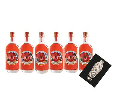 NUT 6er Set Infused Gin Hibiscus Orange 6x 0,7L (40% Vol) Hibiskus Orange Gin N