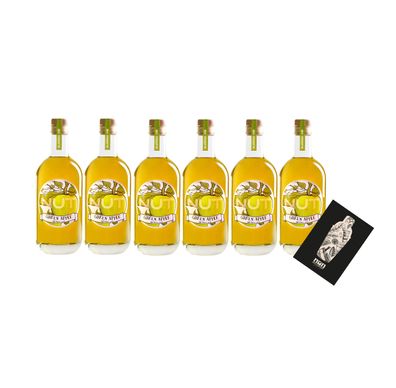 NUT 6er Set Blended Gin Green Apple 6x 0,7L (40% Vol) Grüner Apfel Gin NUT Dist