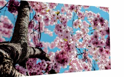 MagicCanvasArt Leinwand Blumen Blüten Natur Bilder - Hochwertiger Kunstdruck