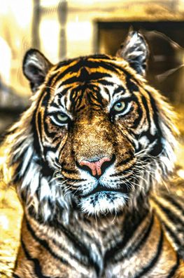 MagicCanvasArt Leinwand Tier Tiger Löwen Bilder - Hochwertiger Kunstdruck