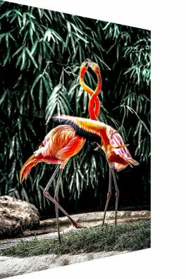 MagicCanvasArt Tier Flamingo Natur Paar Bilder - Hochwertiger Kunstdruck