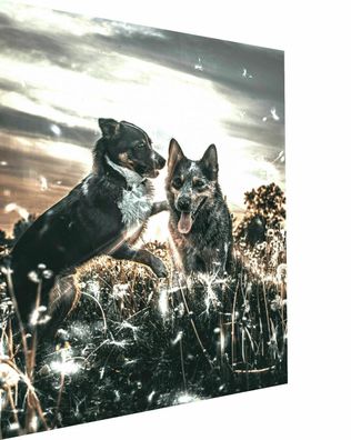 MagicCanvasArt Hunde Tier Winter Bilder Nr 3051 - Hochwertiger Kunstdruck