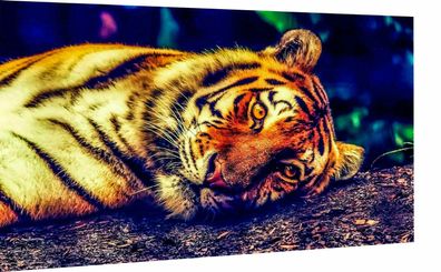 Leinwand Bilder Wandbilder Tiere Tiger Wildkatzen - Hochwertiger Kunstdruck