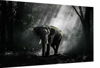 Leinwand Bilder Wandbilder Tiere Elefanten Abstrakt - Hochwertiger Kunstdruck