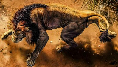 Leinwand Löwe Tier kämpfender Löwe Bilder Wandbilder - Hochwertiger Kunstdruck