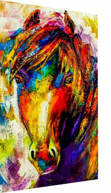 Leinwand Abstrakt Pferd Tiere Bilder Wandbilder - Hochwertiger Kunstdruck XXL