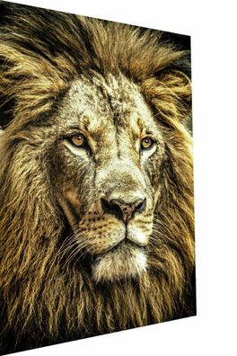 MagicCanvasArt König der Tier Löwen Wildtiere Bilder- Hochwertiger Kunstdruck