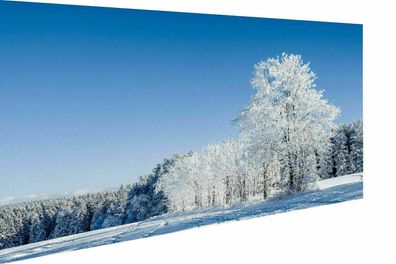 Leinwand Landschaften Natur Schnee Bilder Wandbilder - Hochwertiger Kunstdruck