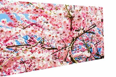 Leinwand Bilder Blumen Pflanzen Kirschblüte Wandbilder - Hochwertiger Kunstdruck