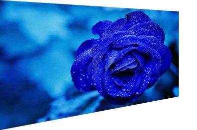 Leinwand Bilder Blumen Pflanzen Blaue Rose Wandbilder - Hochwertiger Kunstdruck