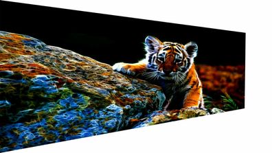 Leinwand Bilder Abstrakt Tiere Baby Tiger Wandbilder - Hochwertiger Kunstdruck