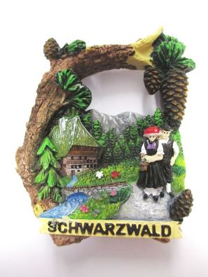 Schwarzwald Tracht Haus Zapfen Baumrinde Poly Magnet Souvenir Germany