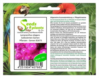 10x Lampranthus elegans Sukkulenten Garten Pflanzen - Samen B1673