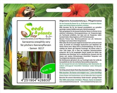 5x Sarracenia oreophila very fat pitchers Kannenpflanzen - Samen B217