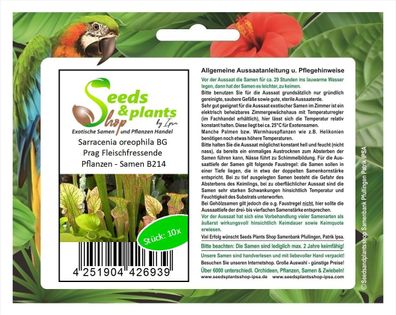 10x Sarracenia oreophila BG Prag Fleischfressende Pflanzen - Samen B214