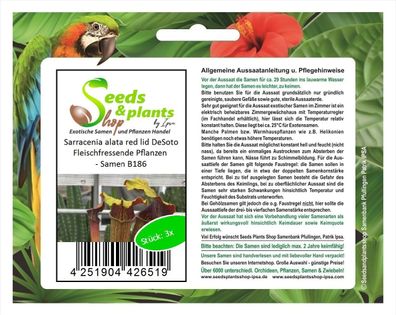 3x Sarracenia alata red lid DeSoto Fleischfressende Pflanzen - Samen B186