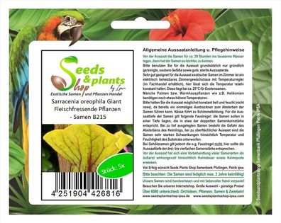 5x Sarracenia oreophila Giant Fleischfressende Pflanzen - Samen B215