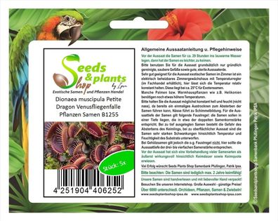 5x Dionaea muscipula Petite Dragon Venusfliegenfalle Pflanzen Samen B1255