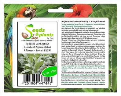 100x Tobacco Connecticut Broadleaf Zigarrentabak Pflanzen - Samen B2294